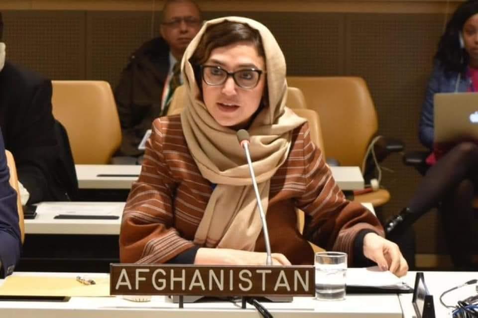 Adela Raz: Afghanistan's First Female Ambassador to the United Nations